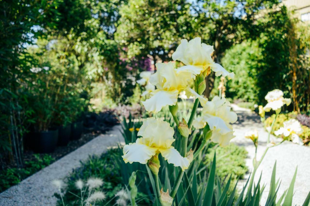 Queen'S Garden Hostel 포르투 외부 사진